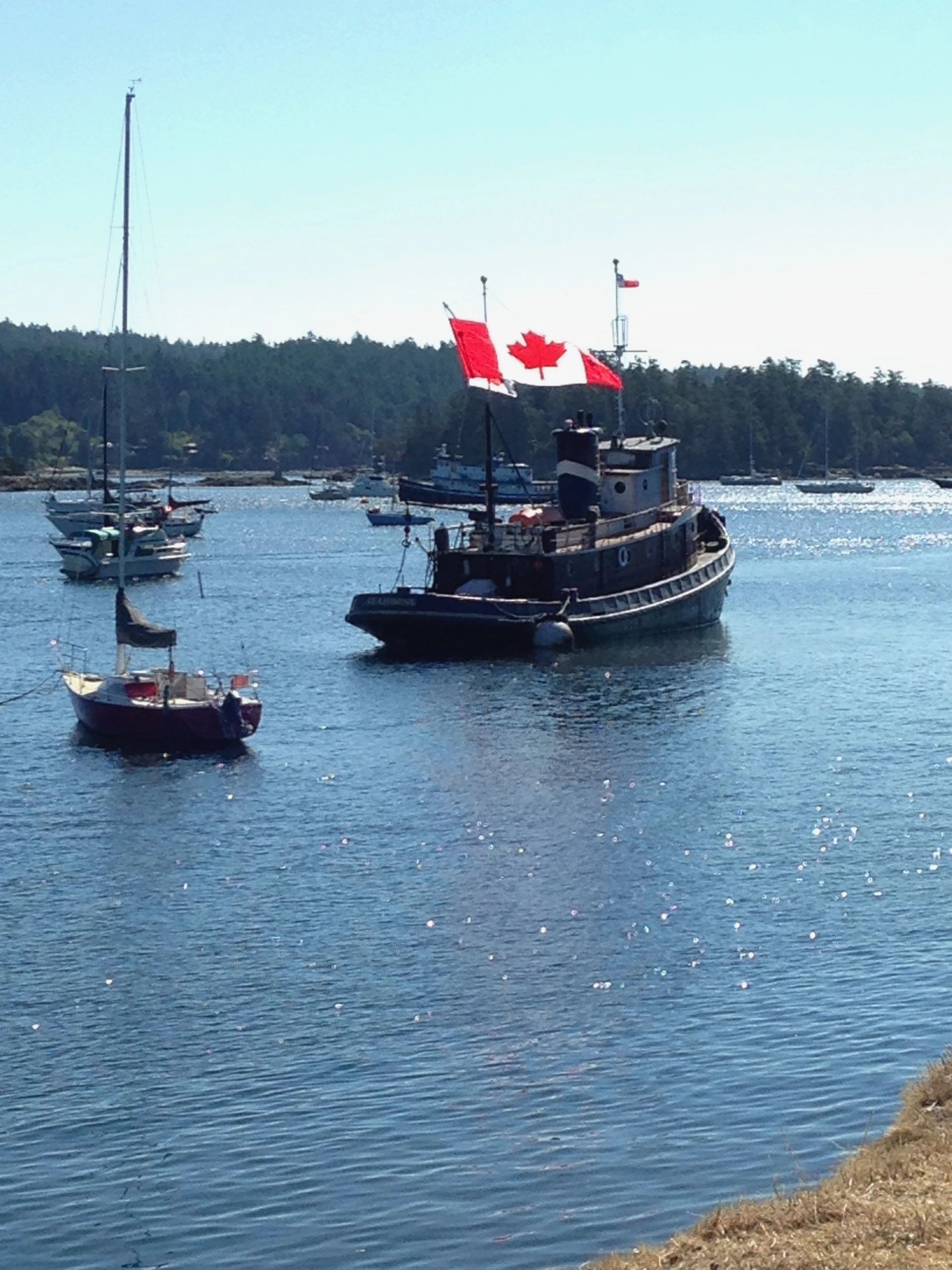 Salt Spring Island Marine Landings